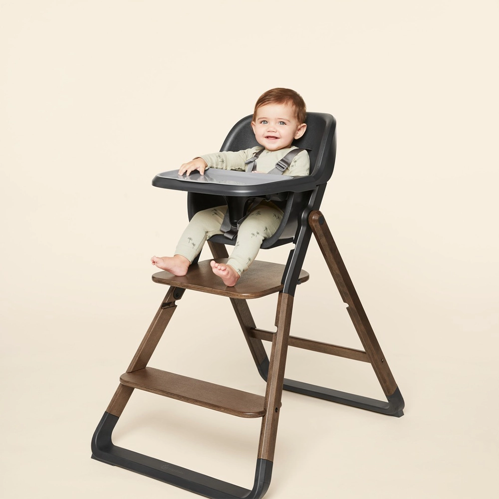 ergobaby-evolve-xranilka-3vo1-dark-wood